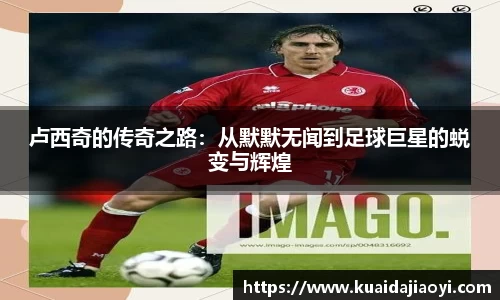 qy体育球友会